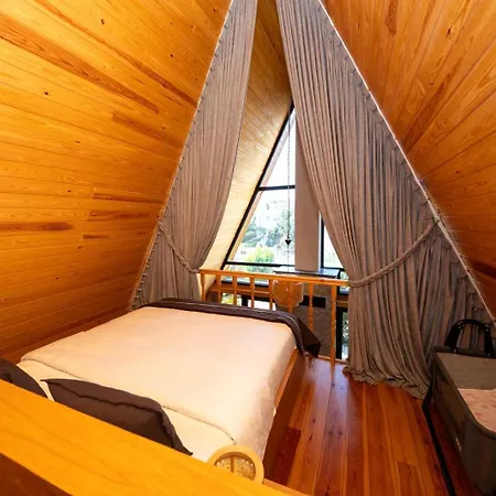 Lejlighedshotel Begonvil Gümüşlük